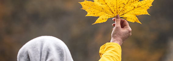 Woman with knit hat holding a yellow leaf